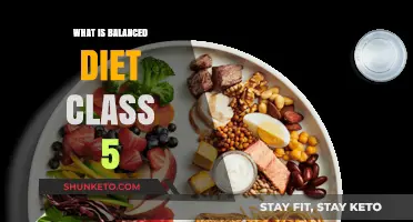 Healthy Eating: Balanced Diet Basics