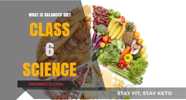 Healthy Eating: Understanding Balanced Diets
