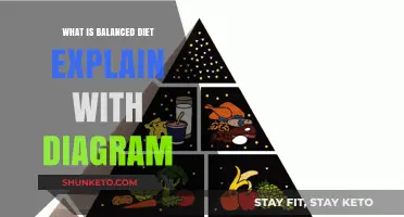 Eating Right: Balanced Diet Explained