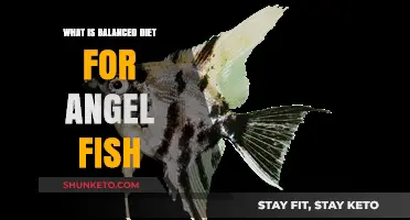Angel Fish Diet: What's the Perfect Balance?