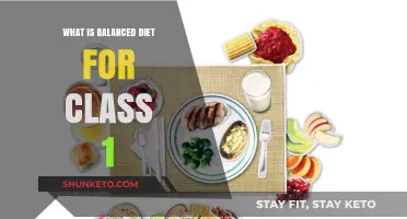 Healthy Eating: Balanced Diet Basics for Kids