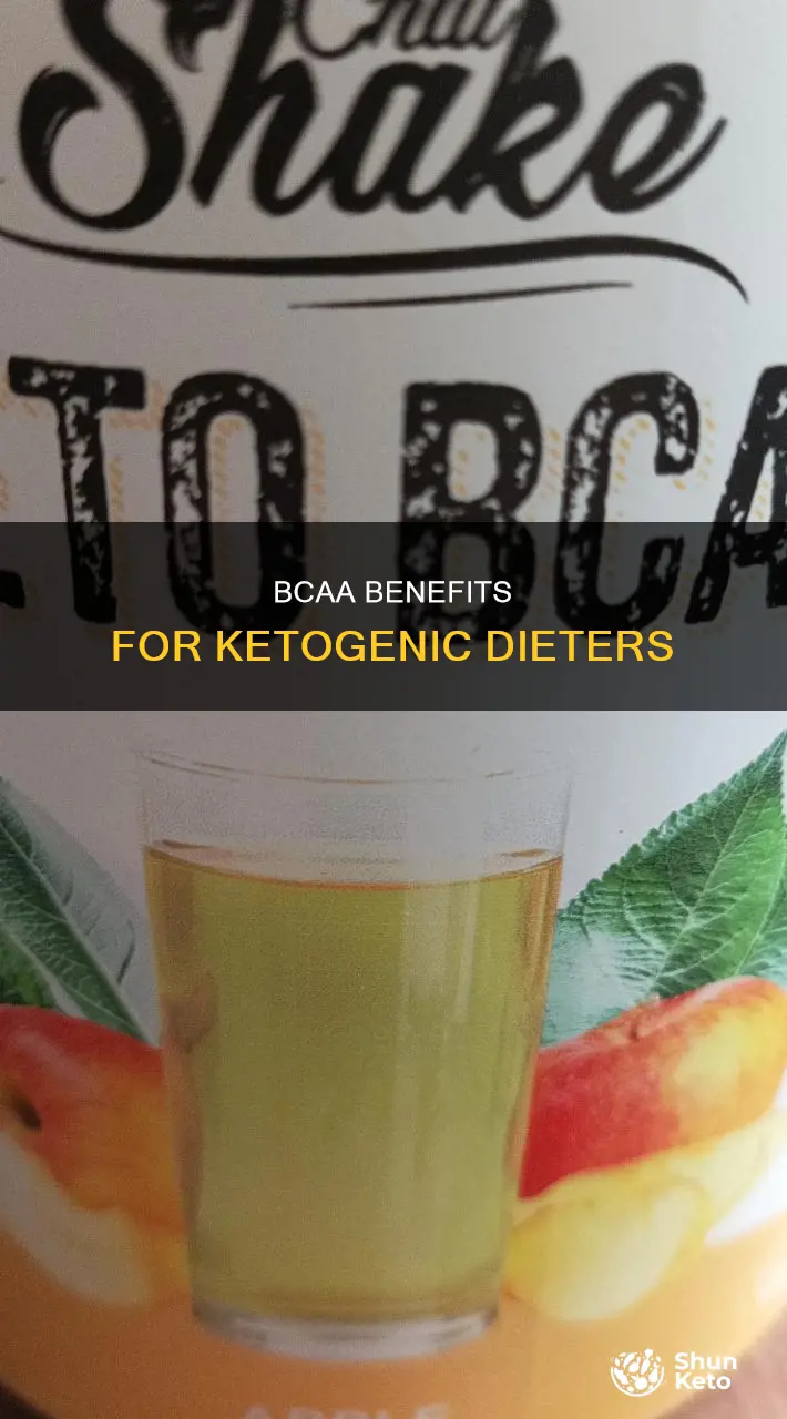what is bcaa g on ketogenic diet