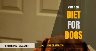 Beg Diet for Dogs: What You Need to Know