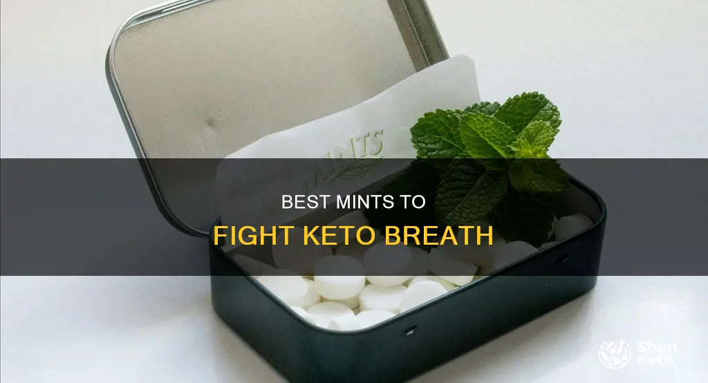 what is best mint for keto bad breath