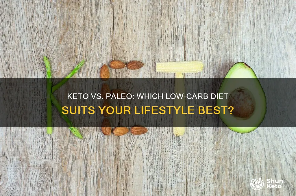 what is better keto or paleo diet