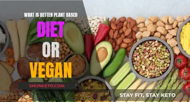 Plant-Based vs. Vegan: What's the Difference and Which Is Better?