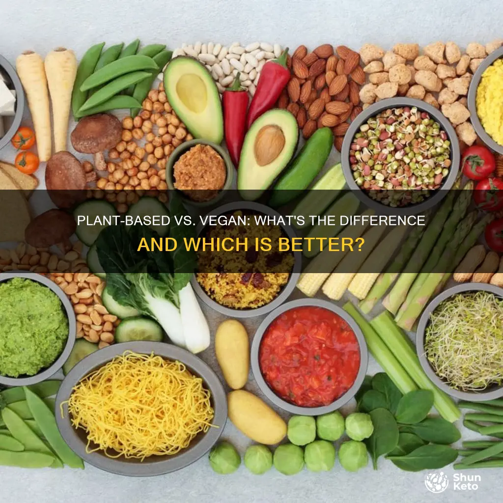 what is better plant based diet or vegan