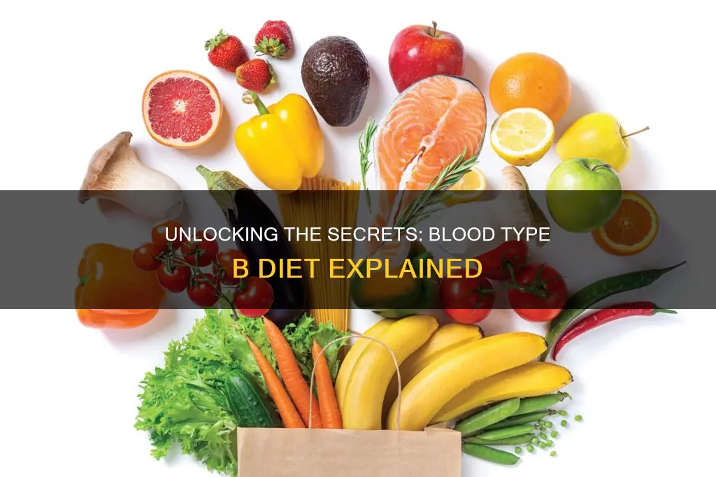 what is blood type b diet