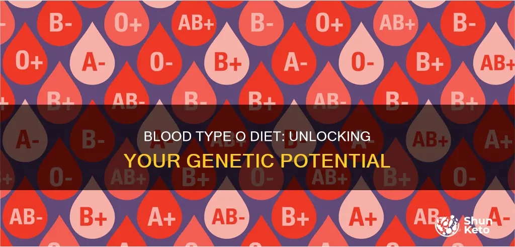 what is blood type o diet