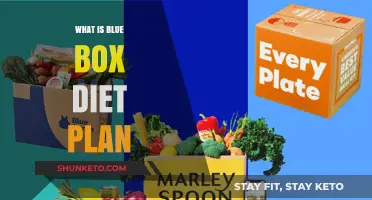 Unveiling the Blue Box Diet: A Healthy Eating Plan?