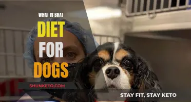 The BRAT Diet for Dogs: What You Need to Know