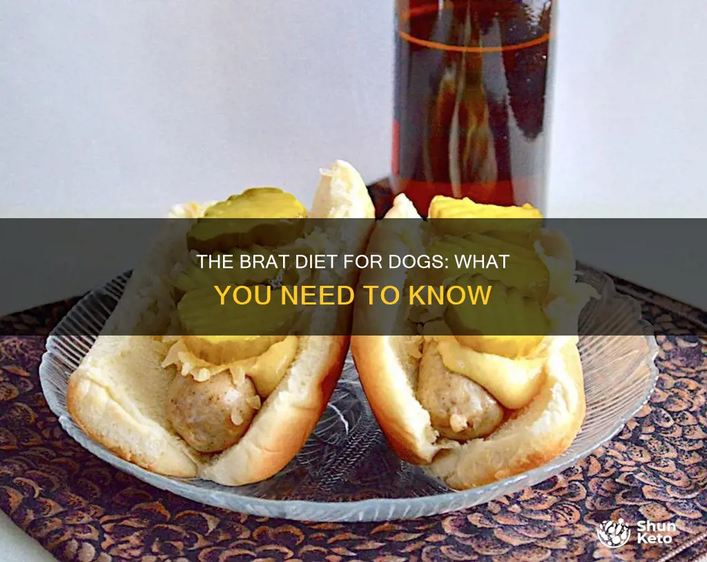 what is brat diet for dogs