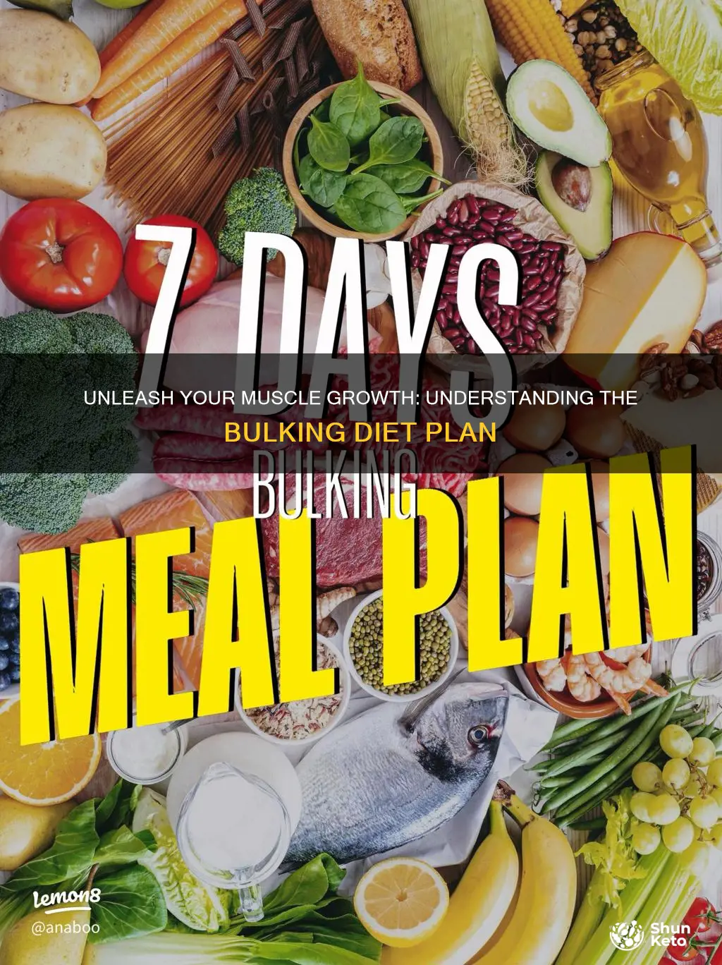 what is bulking diet plan