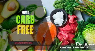 Carb Free: Understanding the Basics of Carb-Free Diets