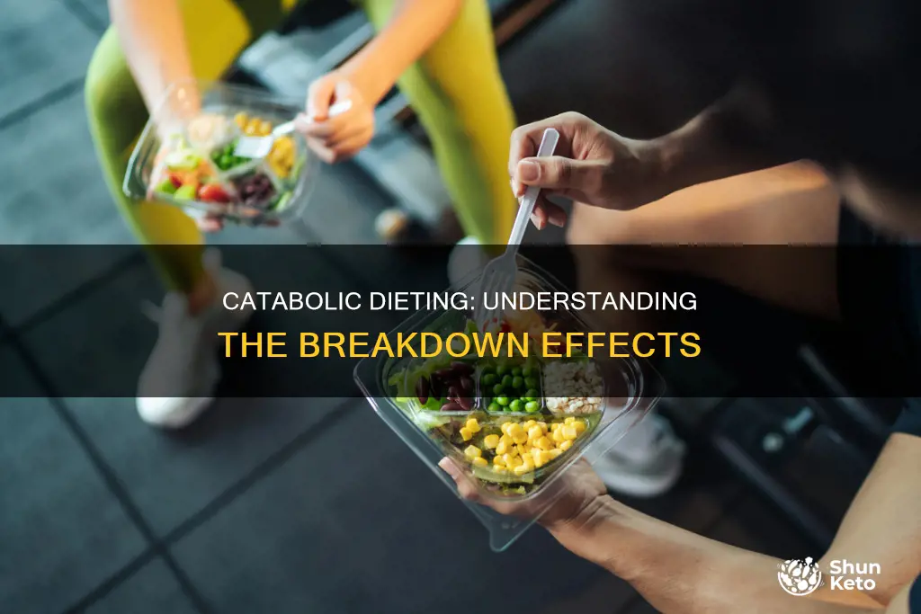 what is catabolic effects of dieting