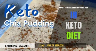 Chia Seeds in Keto: Benefits, Uses, and Low-Carb Recipes