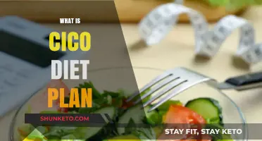 Understanding the CICO Diet: Calories In, Calories Out