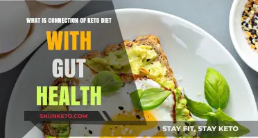 Keto Diet and Gut Health: Unraveling the Microbiome Connection