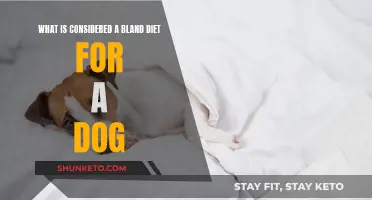 Bland Dietary Options for Your Dog's Sensitive Stomach