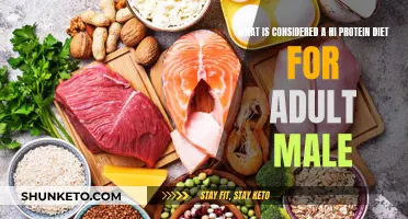 Protein Power: High-Protein Diets for Adult Males