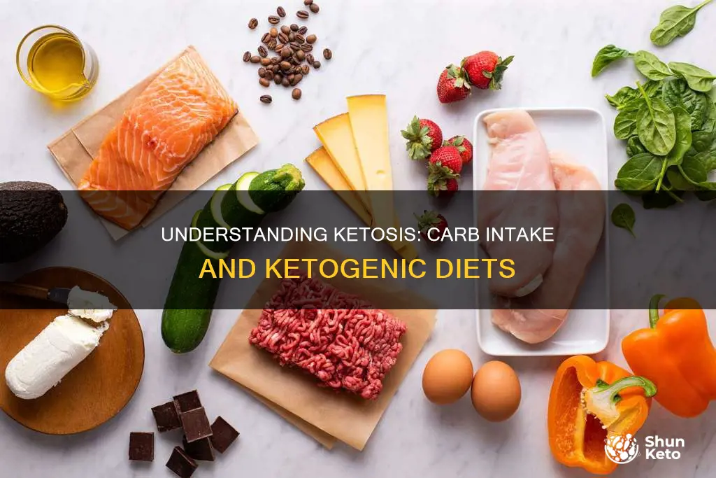 what is considered ketos how many carbs