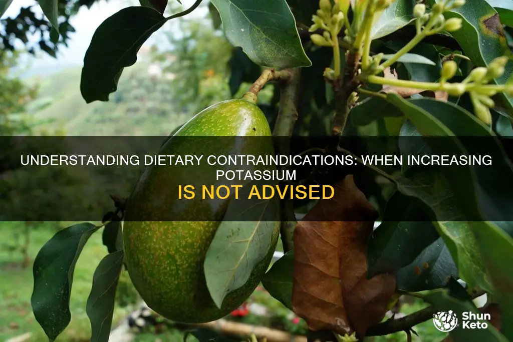 what is contraindication to increase potassium in diet