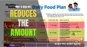 Dash Diet: A Guide to Reducing Sodium and Improving Health