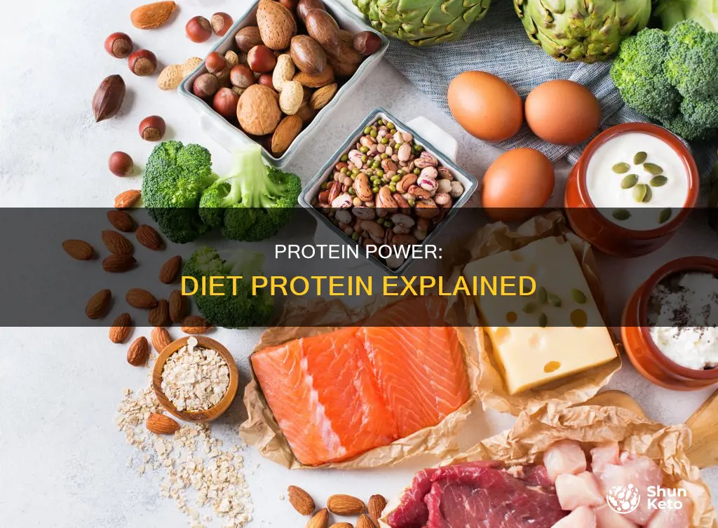 what is diet protein