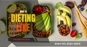 My Dieting Experience: A Personal Journey and Reflection