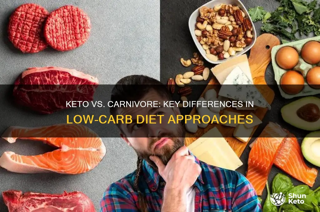 what is difference between keto and carnivore diet