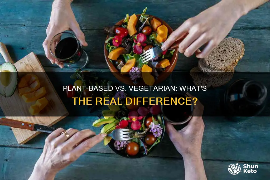 what is difference between plant based diet and vegetarian diet