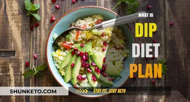 Unveiling the Dip Diet Plan: A Comprehensive Guide