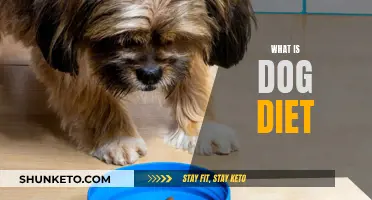 Dog Diet: Understanding Your Pup's Nutritional Needs
