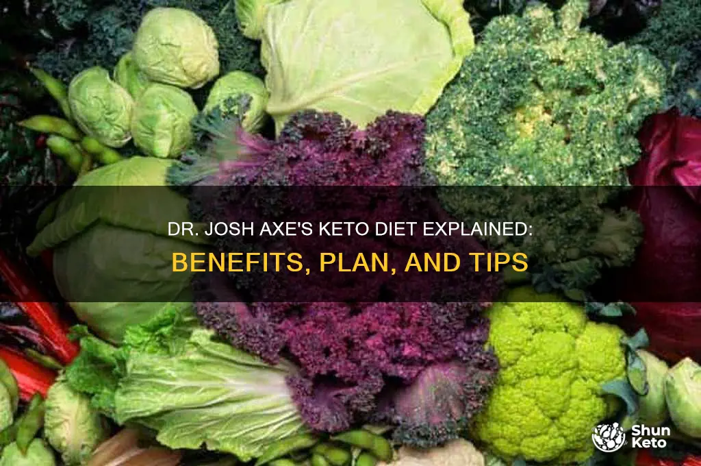 what is dr josh axe keto diet
