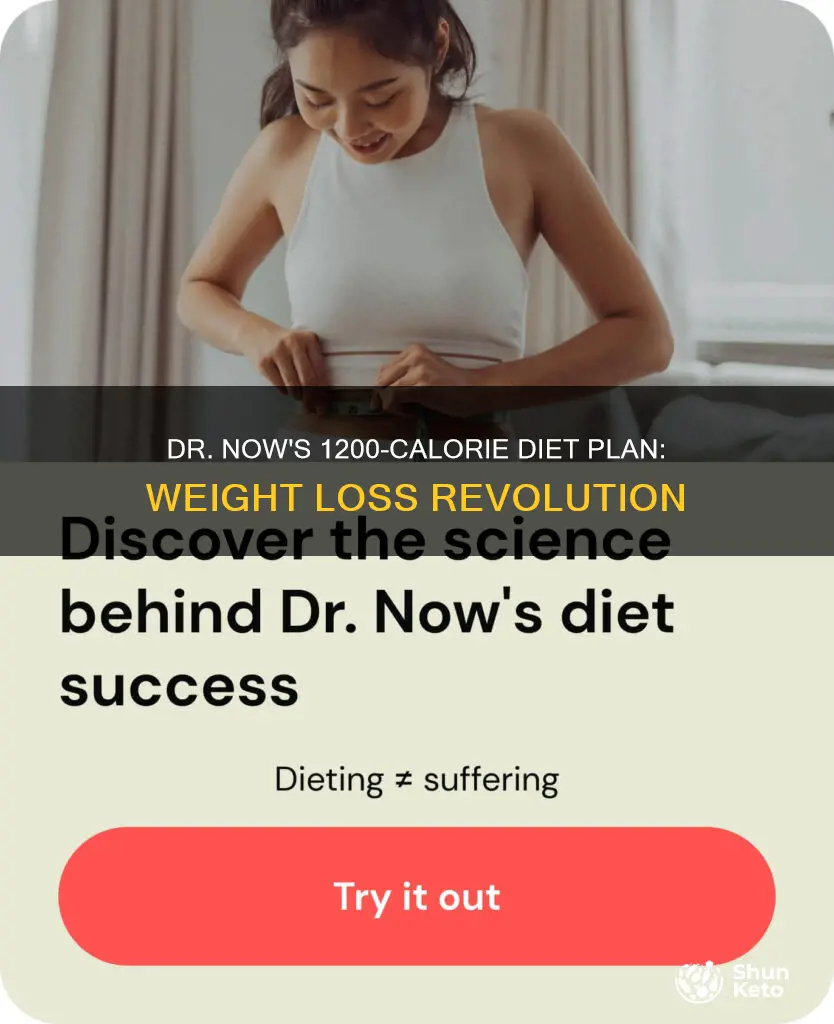 what is dr nowzaradan 1200 calorie diet