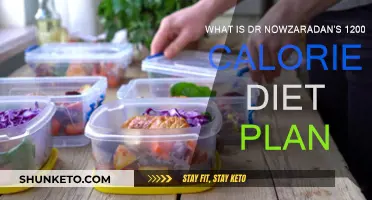 Dr. Now's 1200-Calorie Diet Plan: Weight Loss and Health