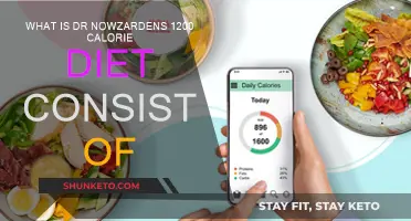 Dr. Now's 1200-Calorie Diet: What You Need to Know