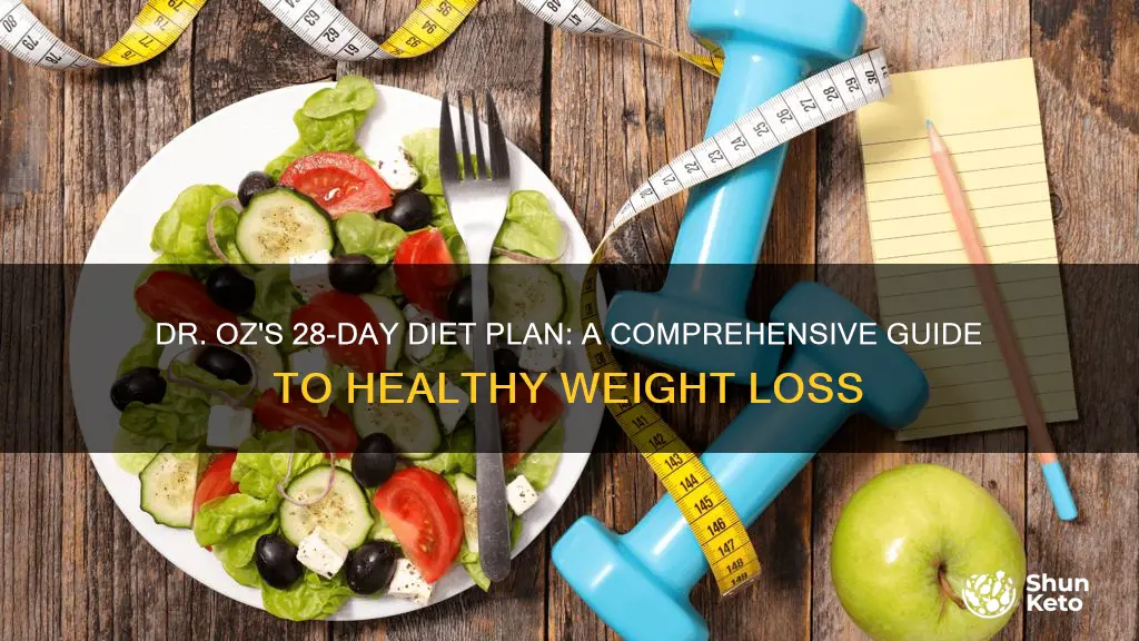 what is dr oz 28 day diet plan