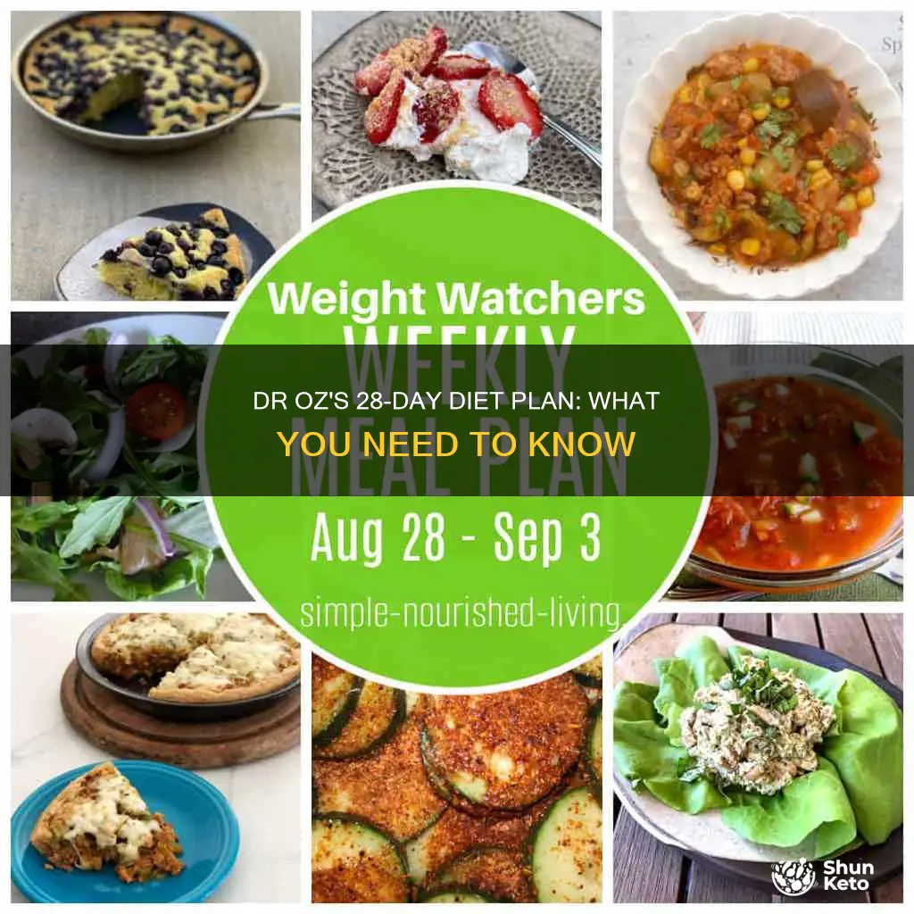 Dr Oz s 28 Day Diet Plan What You Need To Know ShunKeto Dr Oz s 28 Day Diet Plan What You Need To Know ShunKeto