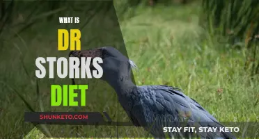 Dr. Stork's Diet: Healthy Eating, Healthy You