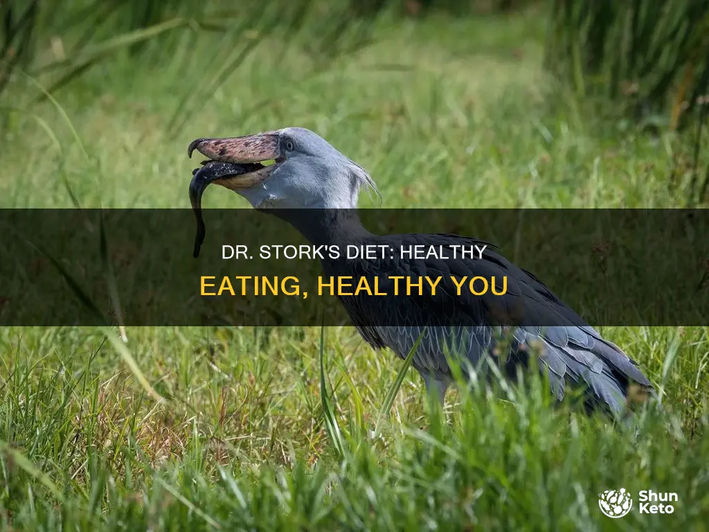 what is dr storks diet