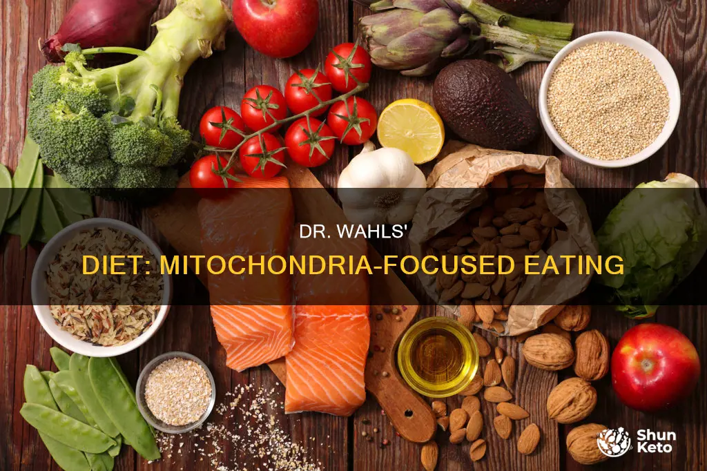 what is dr wahls diet