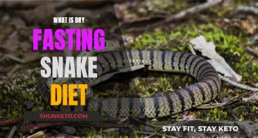 Snake Diet: Dry Fasting Explained