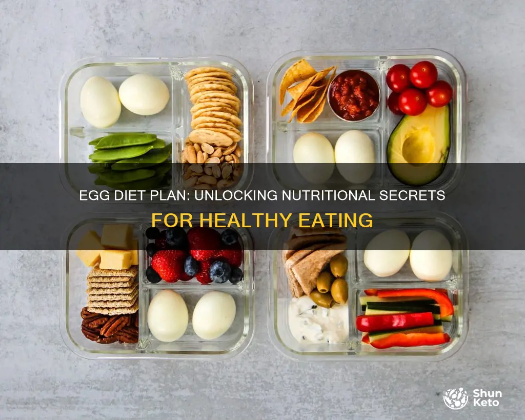 what is egg diet plan