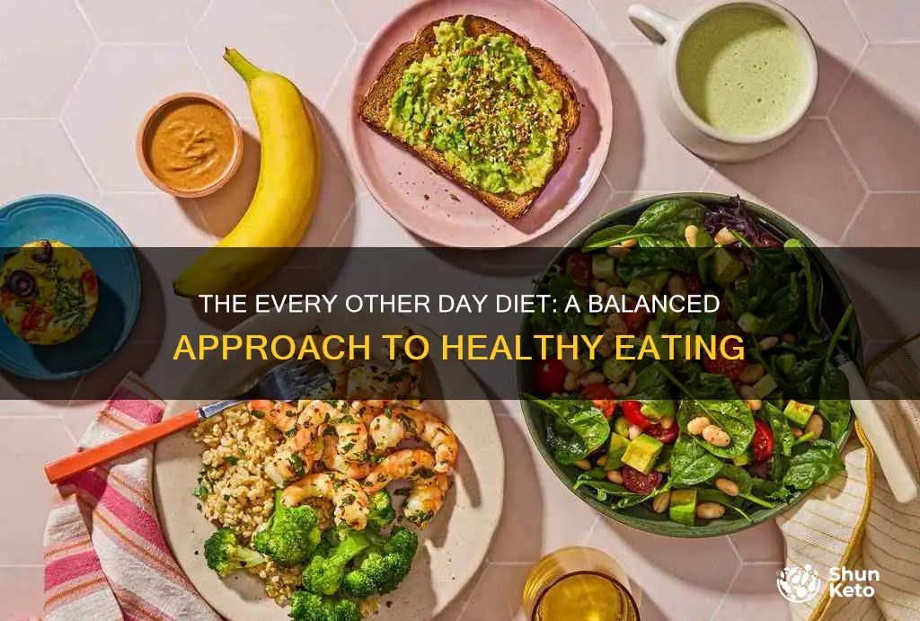 what is every other day diet plan