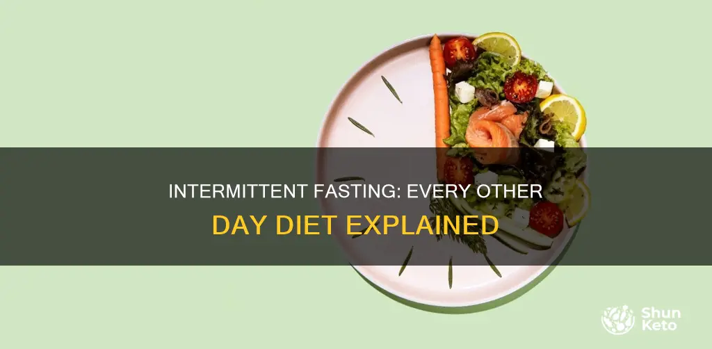 what is every other day diet