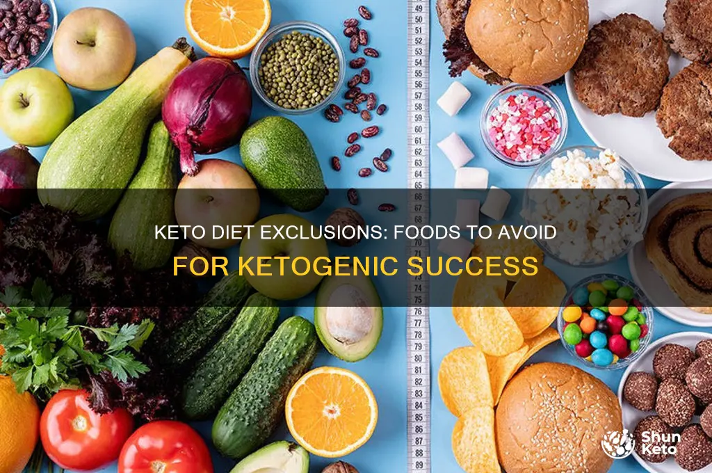 what is excluded in keto diet