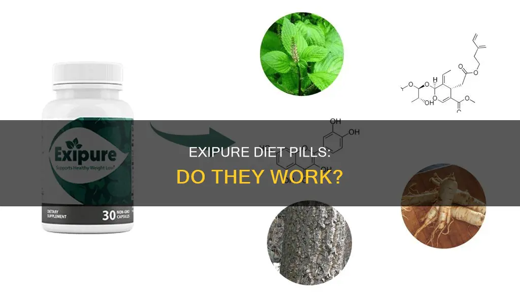 what is exipure diet pills