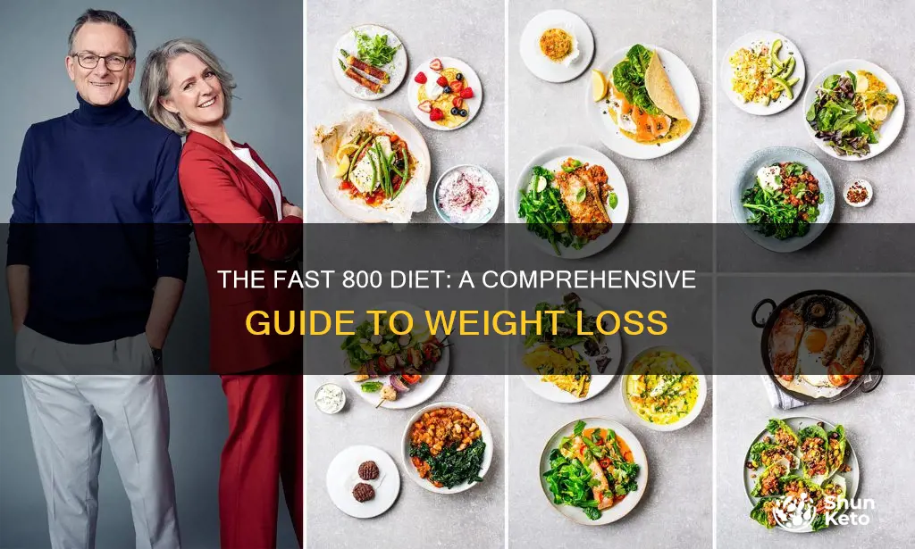 what is fast 800 diet plan