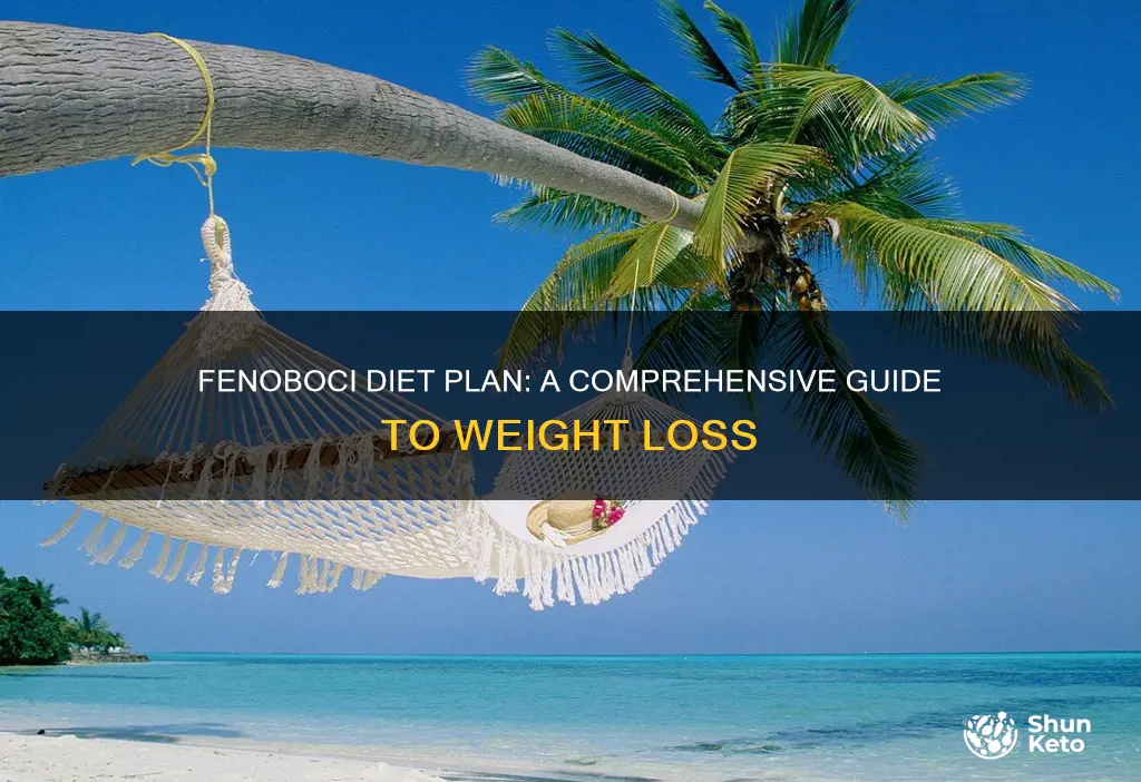 what is fenoboci diet plan